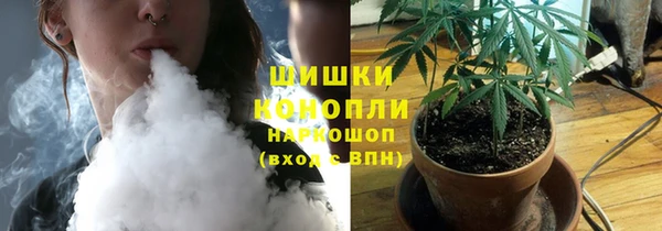 трава Пересвет