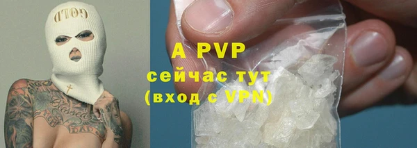 мяу мяу мука Пестово