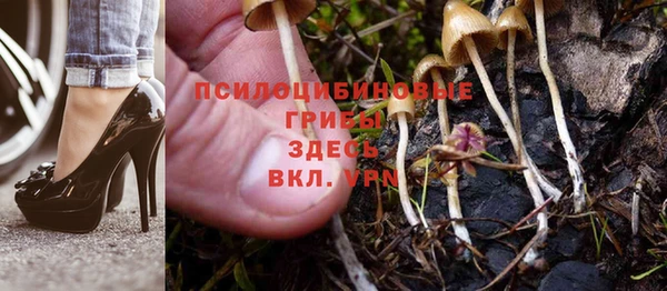 мяу мяу мука Пестово