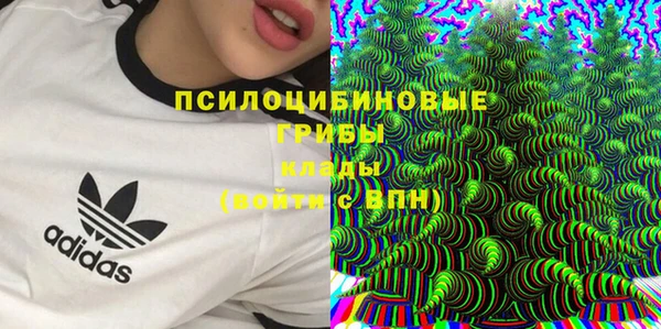 mdpv Переславль-Залесский