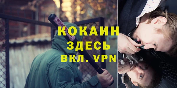 трава Пересвет