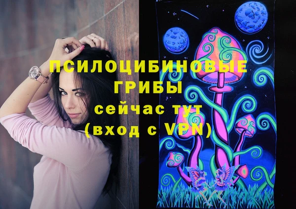 mdpv Переславль-Залесский