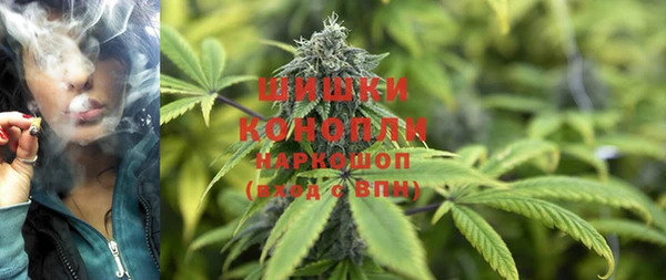 трава Пересвет