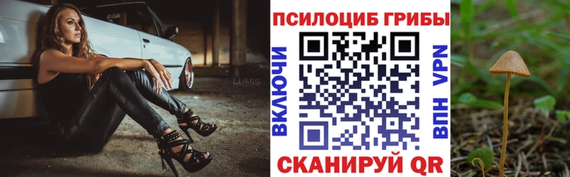 Псилоцибиновые грибы Magic Shrooms  Волжск 