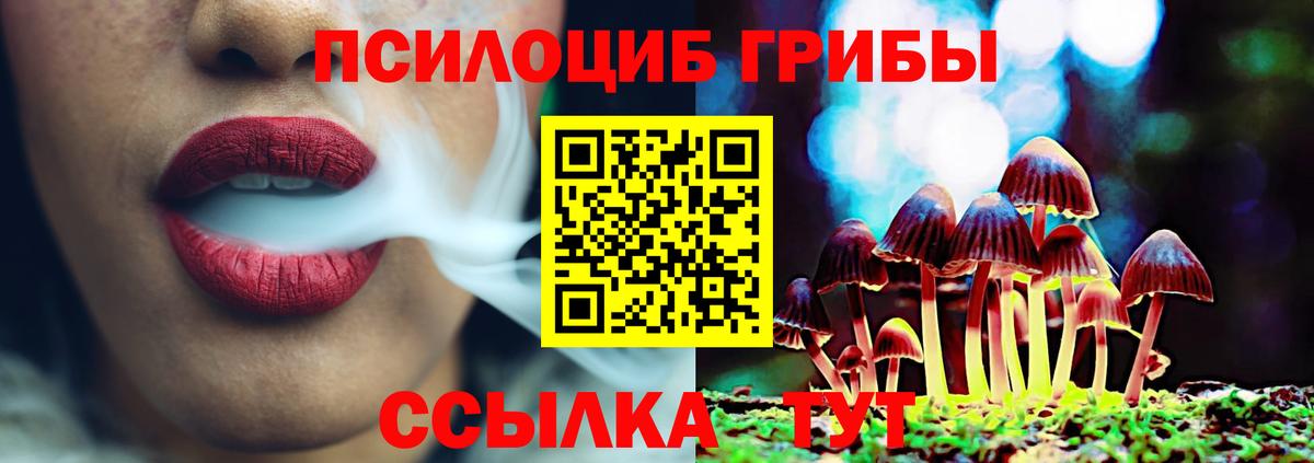 Волжск  Псилоцибиновые грибы ЛСД  цена   Вход с VPN 